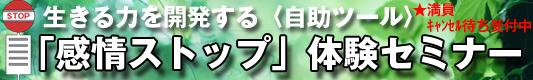 ������͂��J�����鎩���c�[���@����X�g�b�v�̌��Z�~�i�[